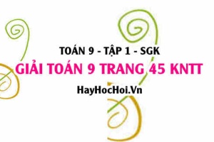 Giải Toán 9 trang 45 tập 1 Kết nối tri thức